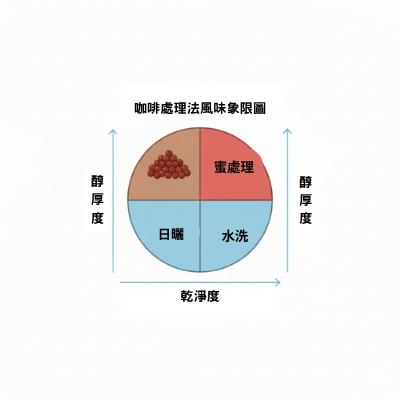 咖啡處理法風味象限圖，X軸為乾淨度，Y軸為醇厚度，標示水洗、日曬、蜜處理的位置