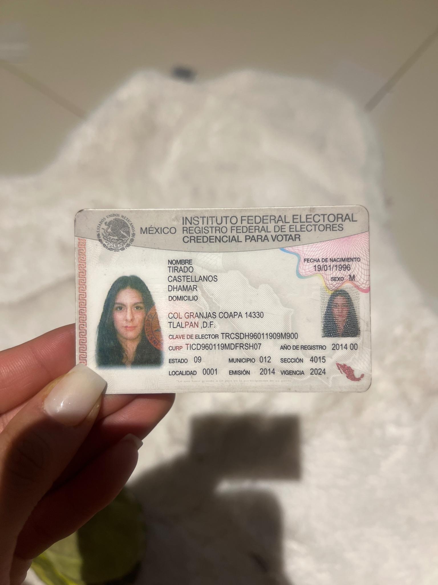 Image image_202510034e18cb04ff141027b71c77e0de67cf56.jpg