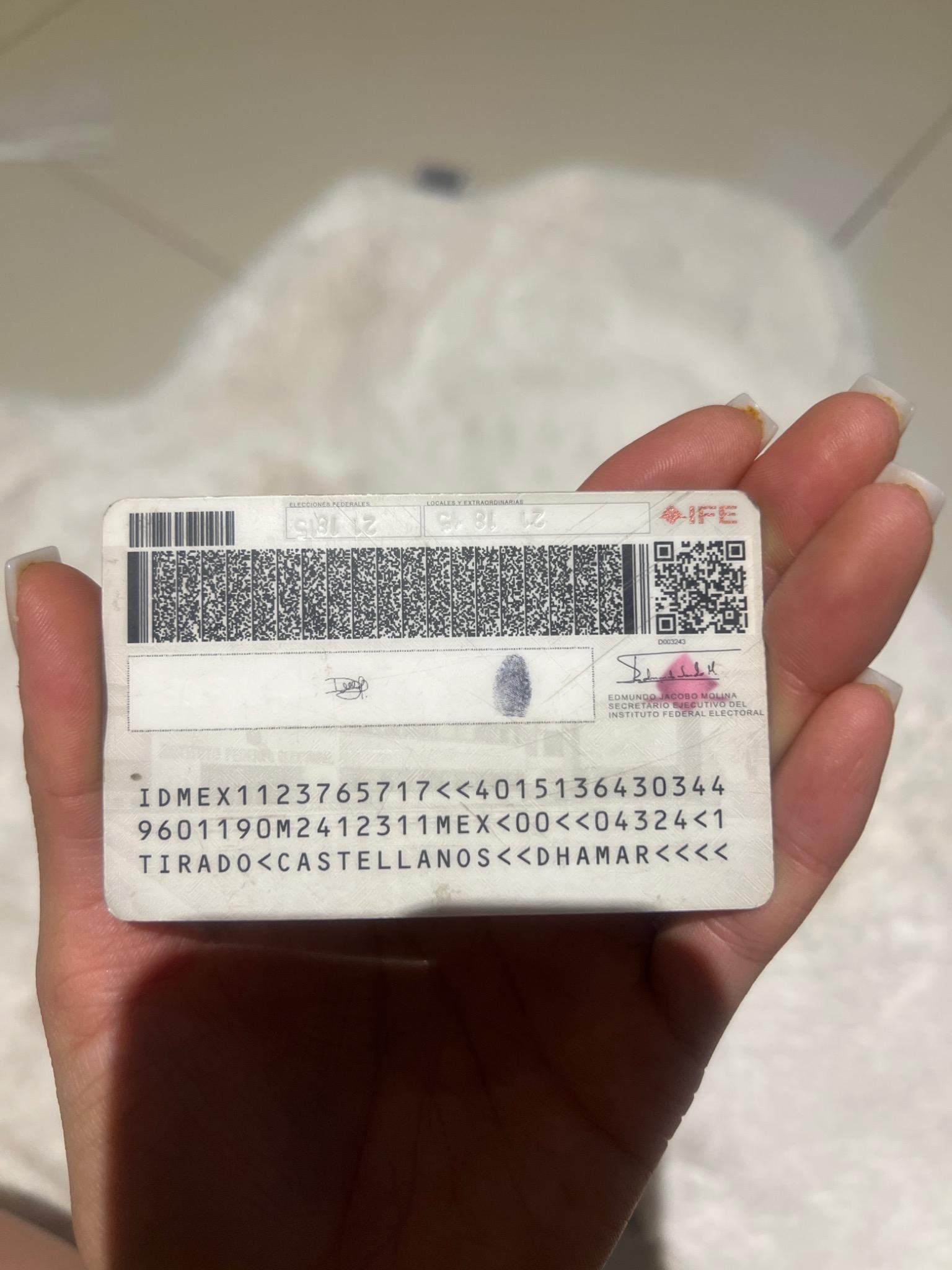 Image image_20251003f66870be81ec77e3e650c4ddc984acae.jpg