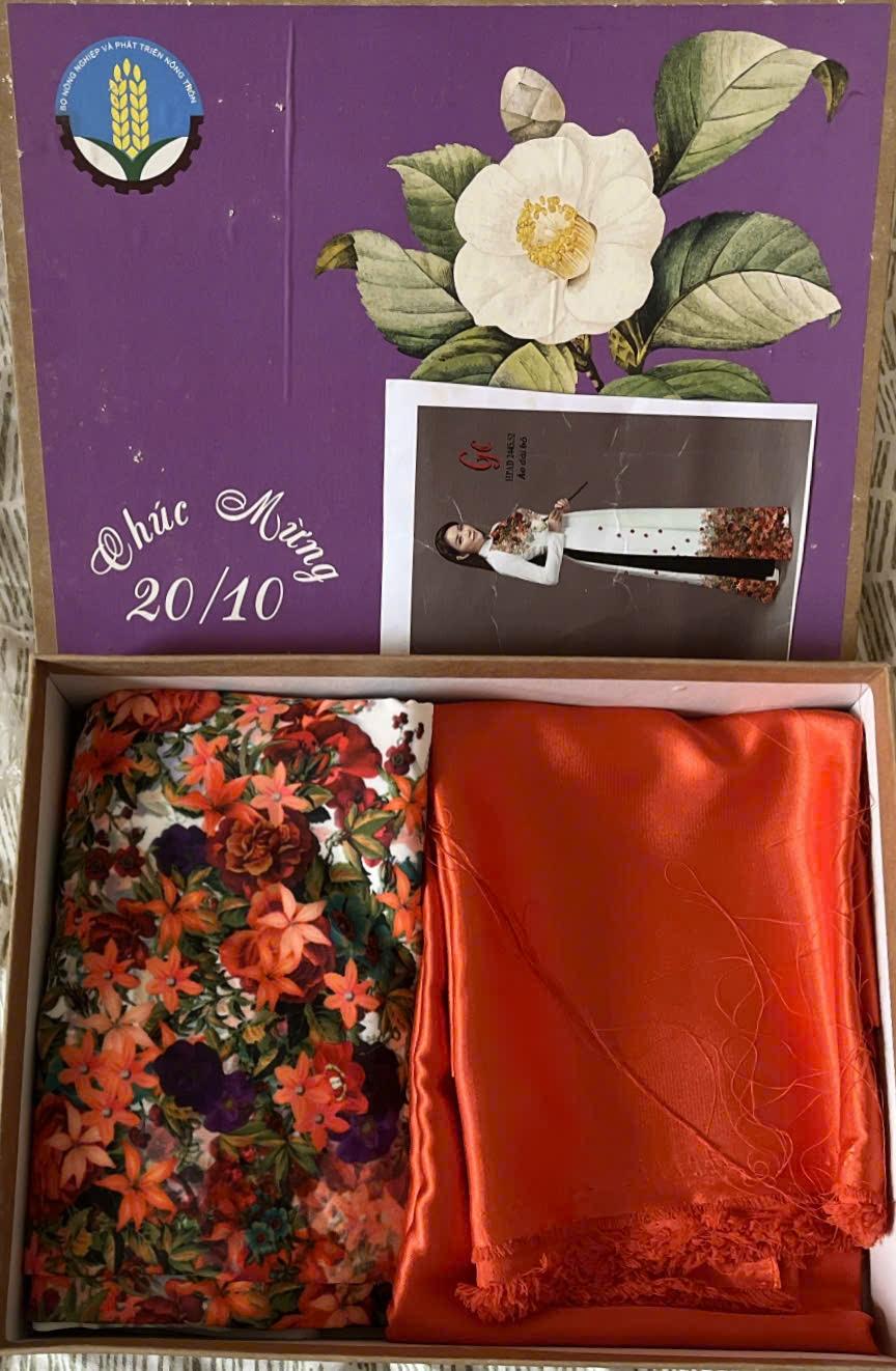 Image image_20251006bd8c28d2392d2eef0b2408ea4349da6b.jpg