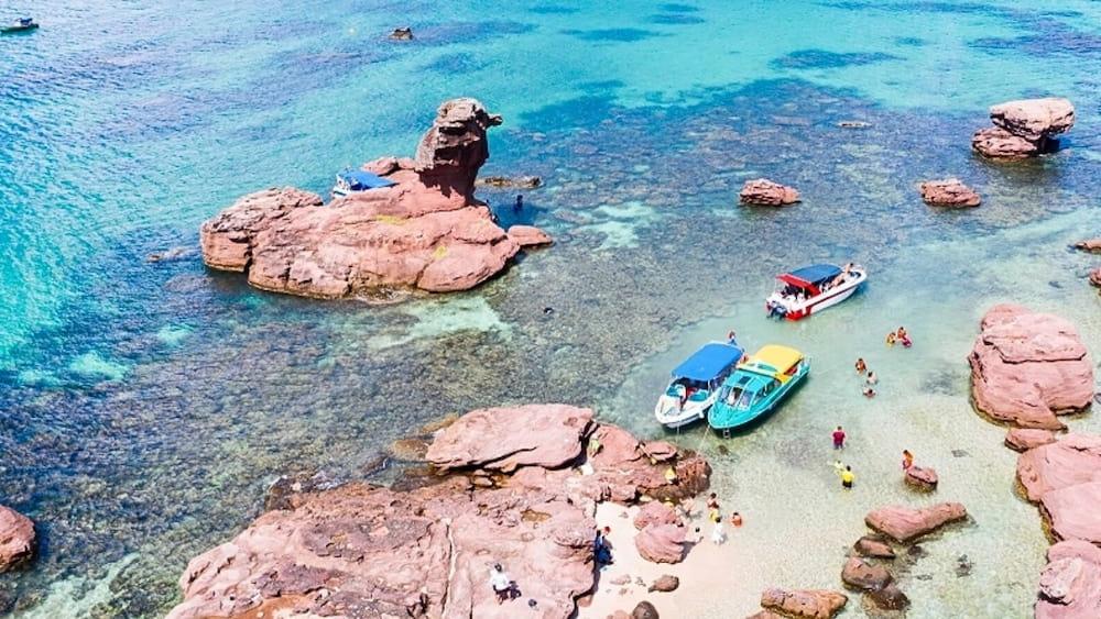 Lặn ngắm san hô - Robinson Island