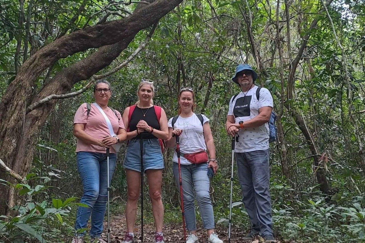 Rừng xanh – lối mòn Tiên Sơn Định