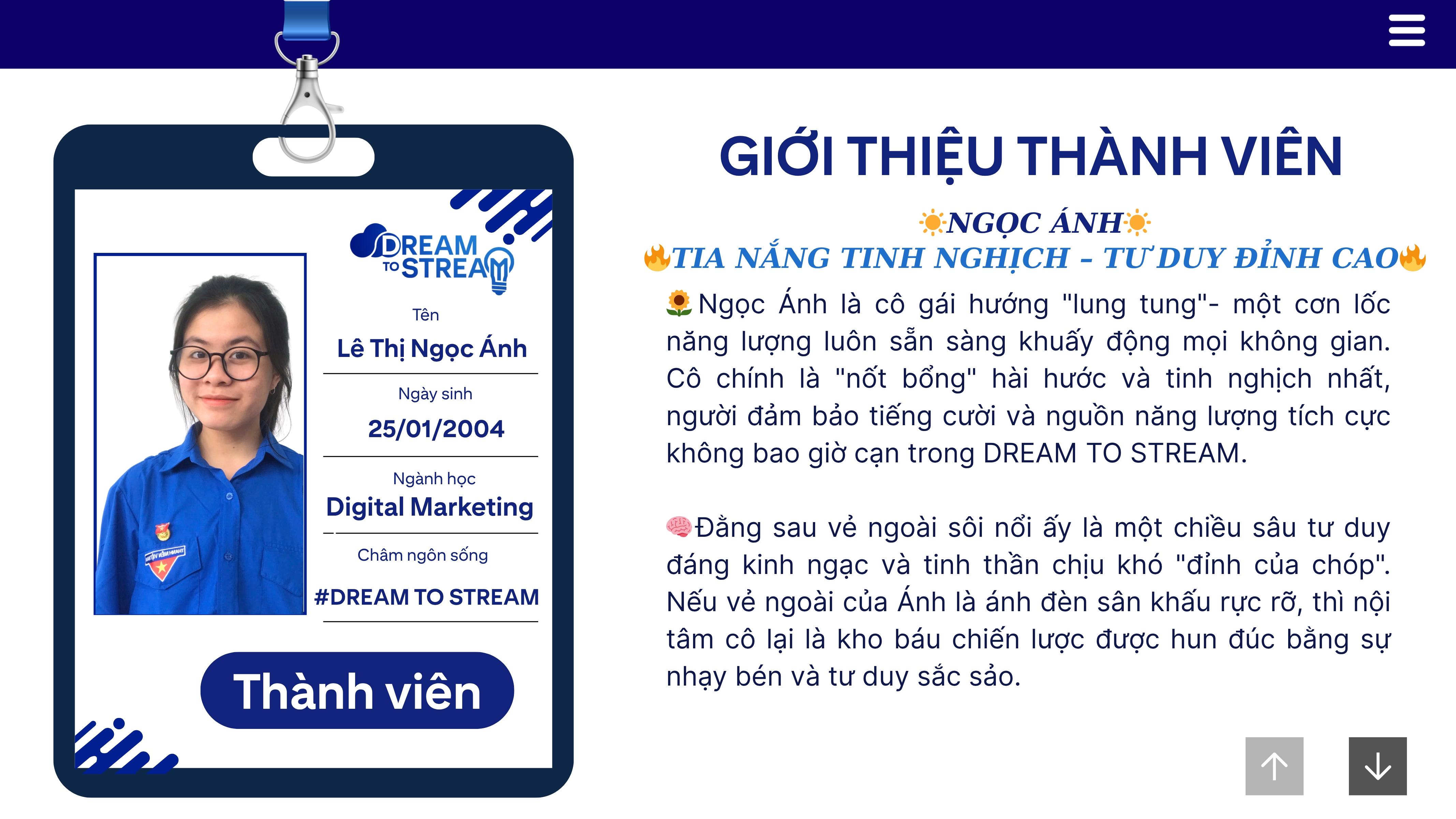 WEB DREAM TO STREAM (15).png