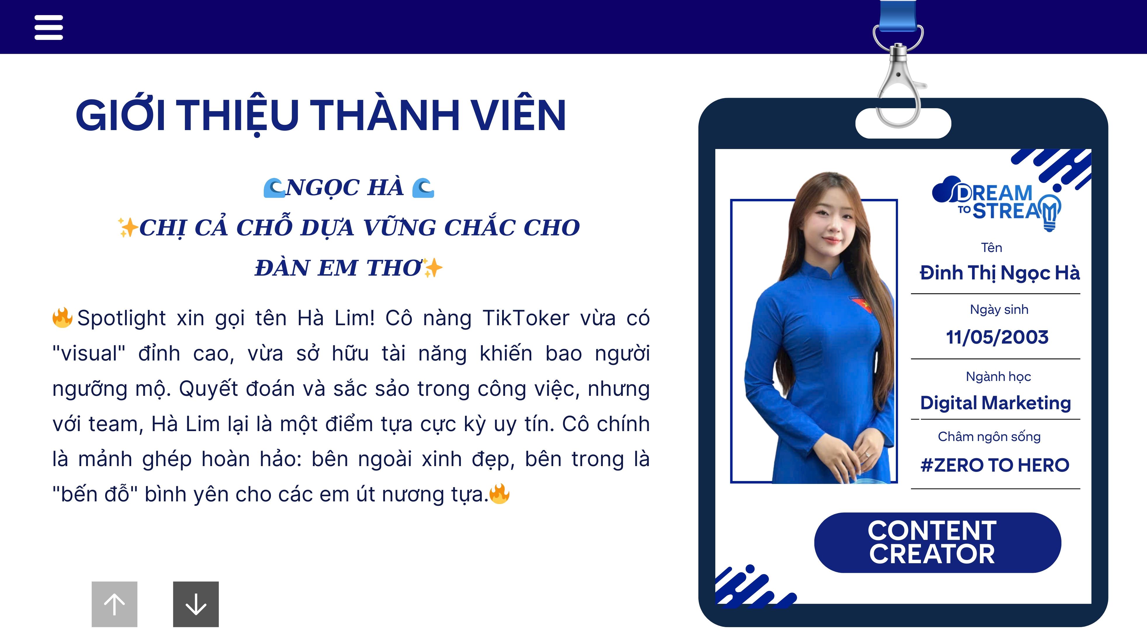 WEB DREAM TO STREAM (28).png