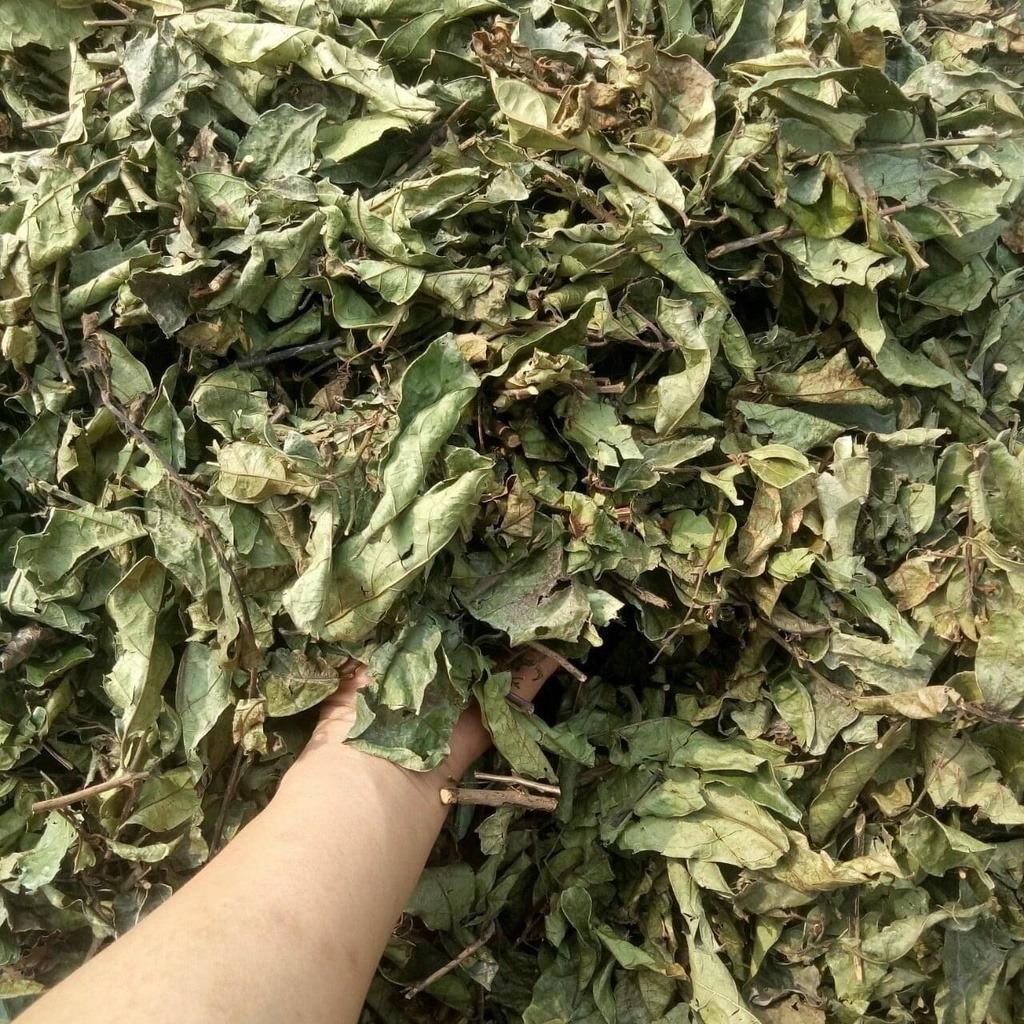 Xạ đen Hòa Bình sấy khô.jpg