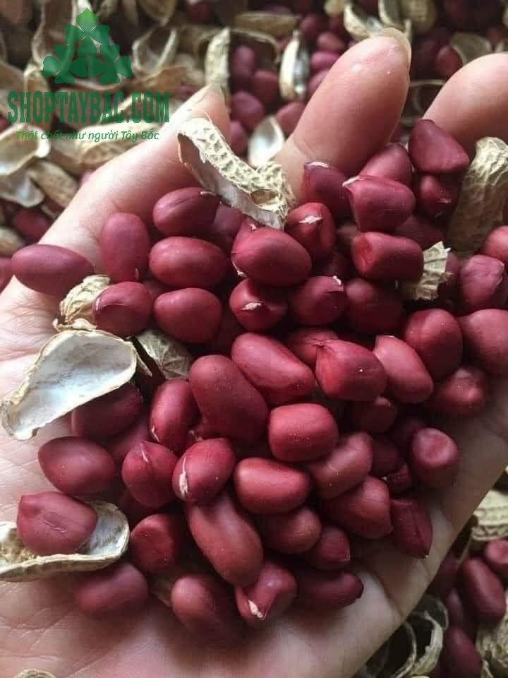 Lạc đỏ Tây Bắc thu hoạch bảo quản tự nhiên.png