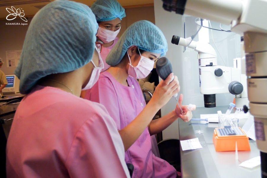công nghệ ivf tại Safe Ferlitity group cho nữ giới