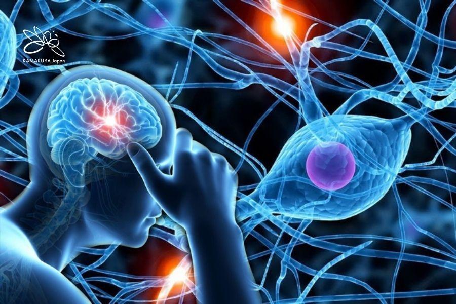 Bệnh viện ứng dụng MRI 3 Tesla, PET-CT và   robot phẫu thuật thần kinh