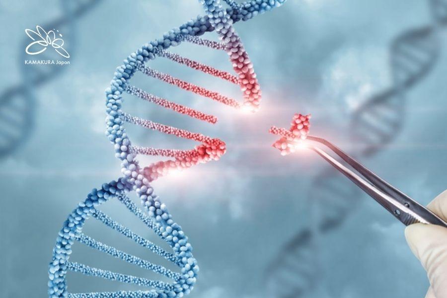 Xây dựng phác đồ dựa trên đặc điểm sinh học từng bệnh nhân