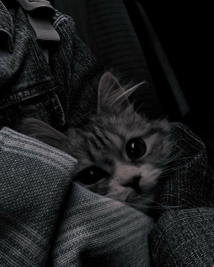 Image image_20260301632e6b910eb9b8b1341c0ab1360643cc.jpg