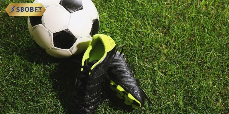 Chính sách hoàn trả với tỷ lệ rõ ràng