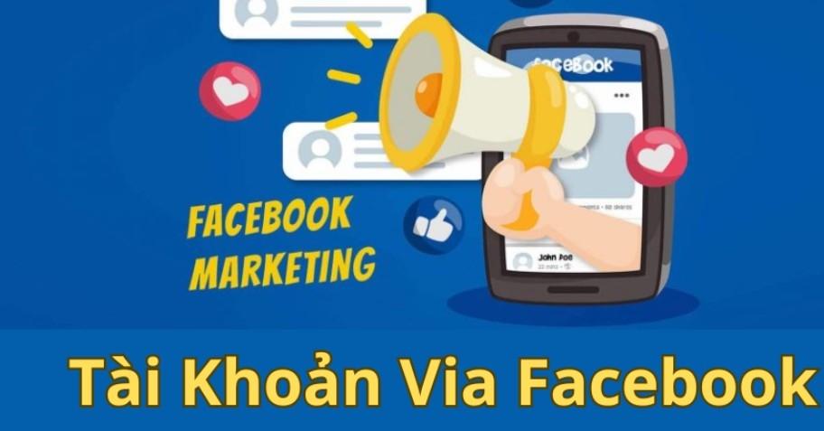 facebook marketing via facebook ads