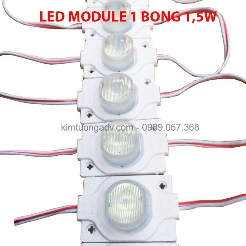 led-module-1-bong-kim-tuong-2