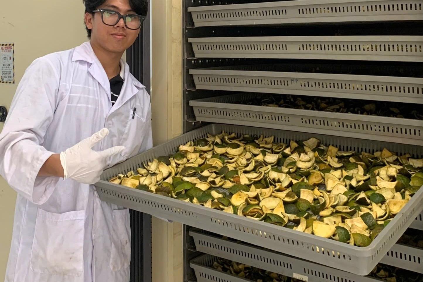 Orange Peel Biomaterial Compound