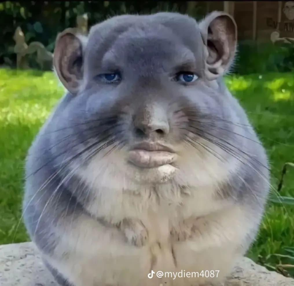 Image image_20260414edb56fef48edab56562fb3e707514590.jpg