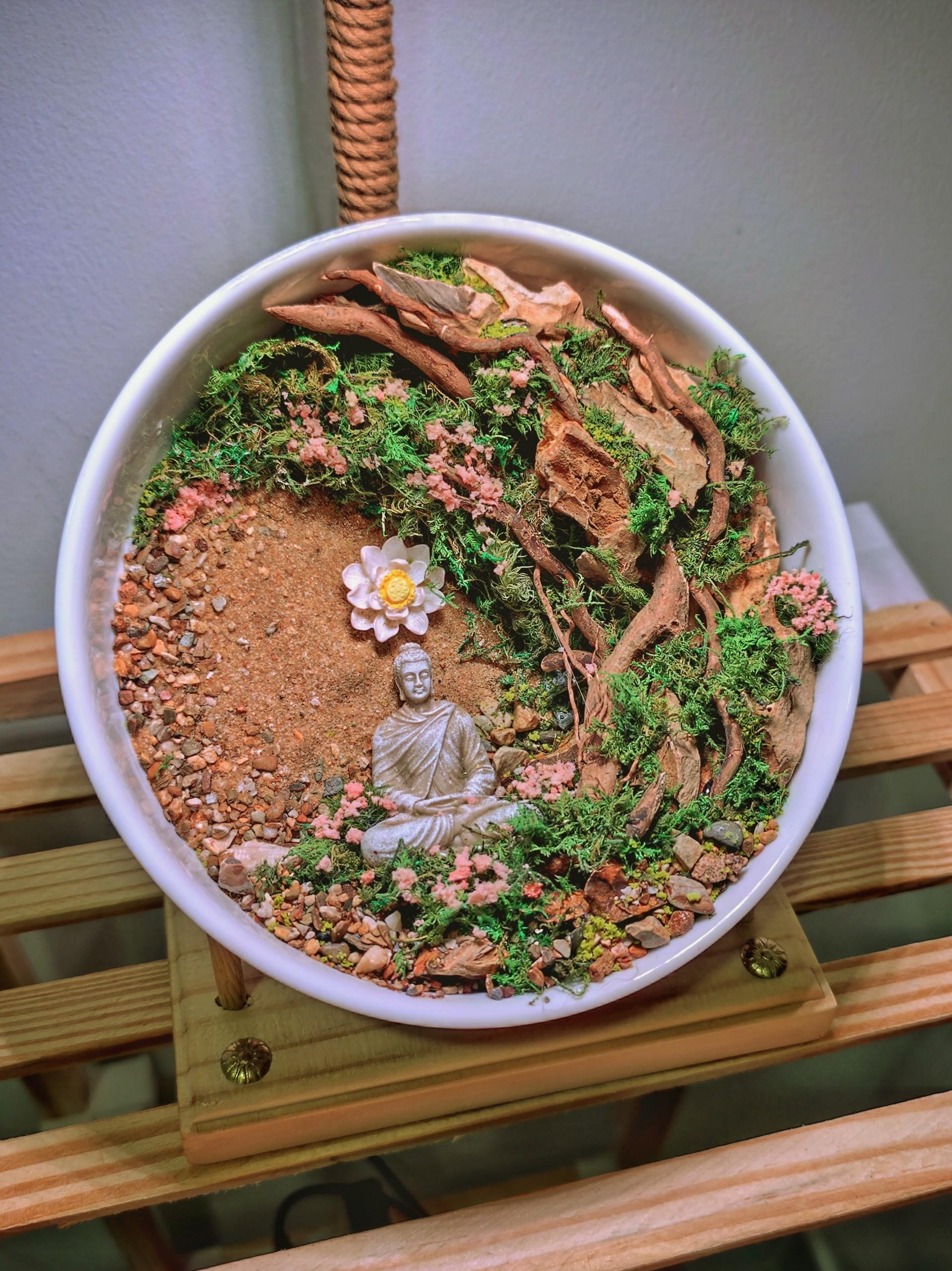 Tiểu Cảnh Chậu Sứ 2