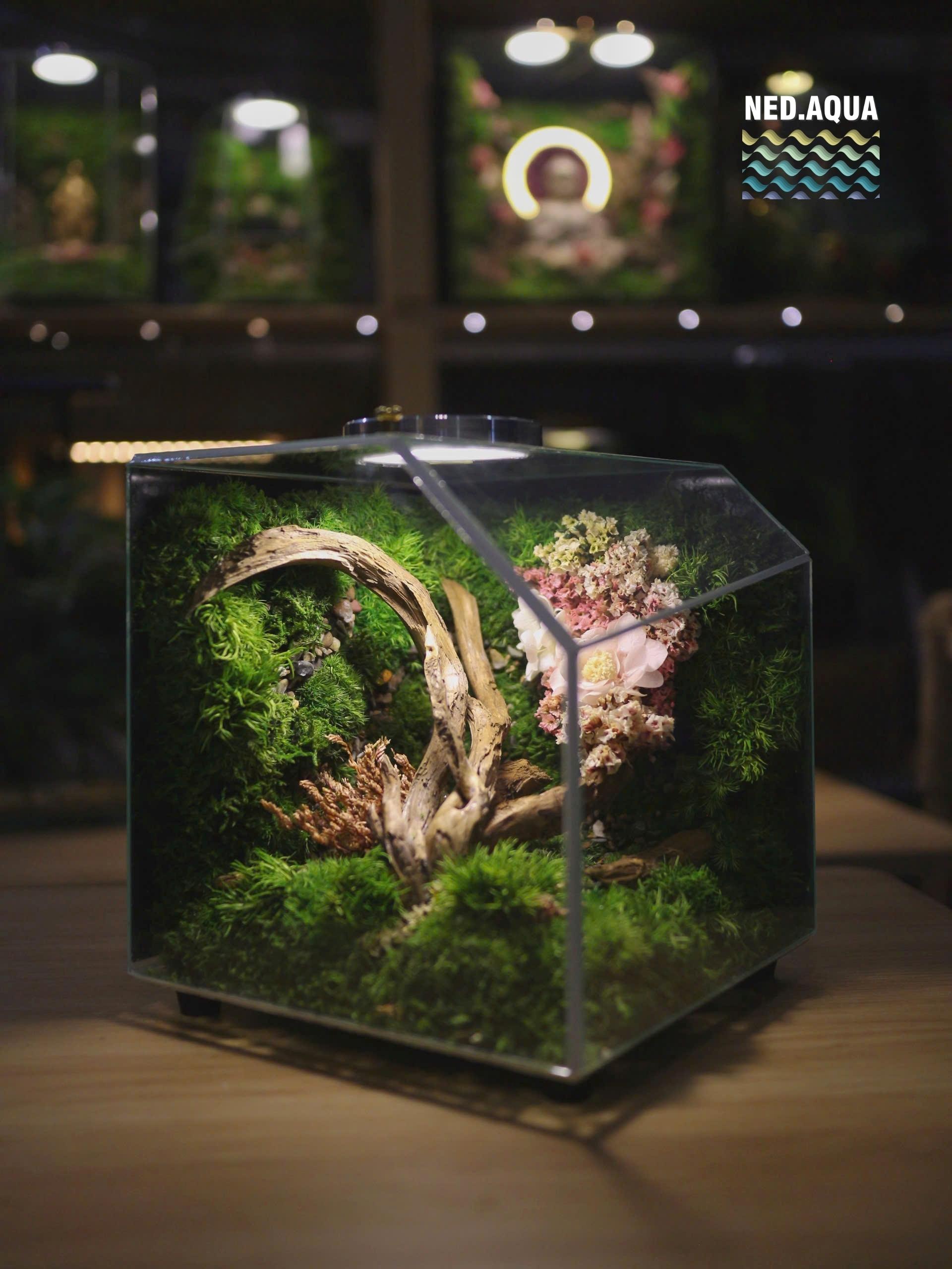 Bloom Moss 15