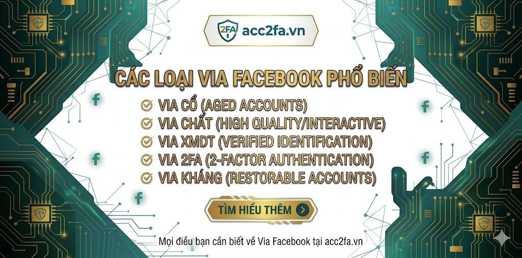 Tìm hiểu Via Facebook là gì trước khi mua via Facebook acc2fa.vn