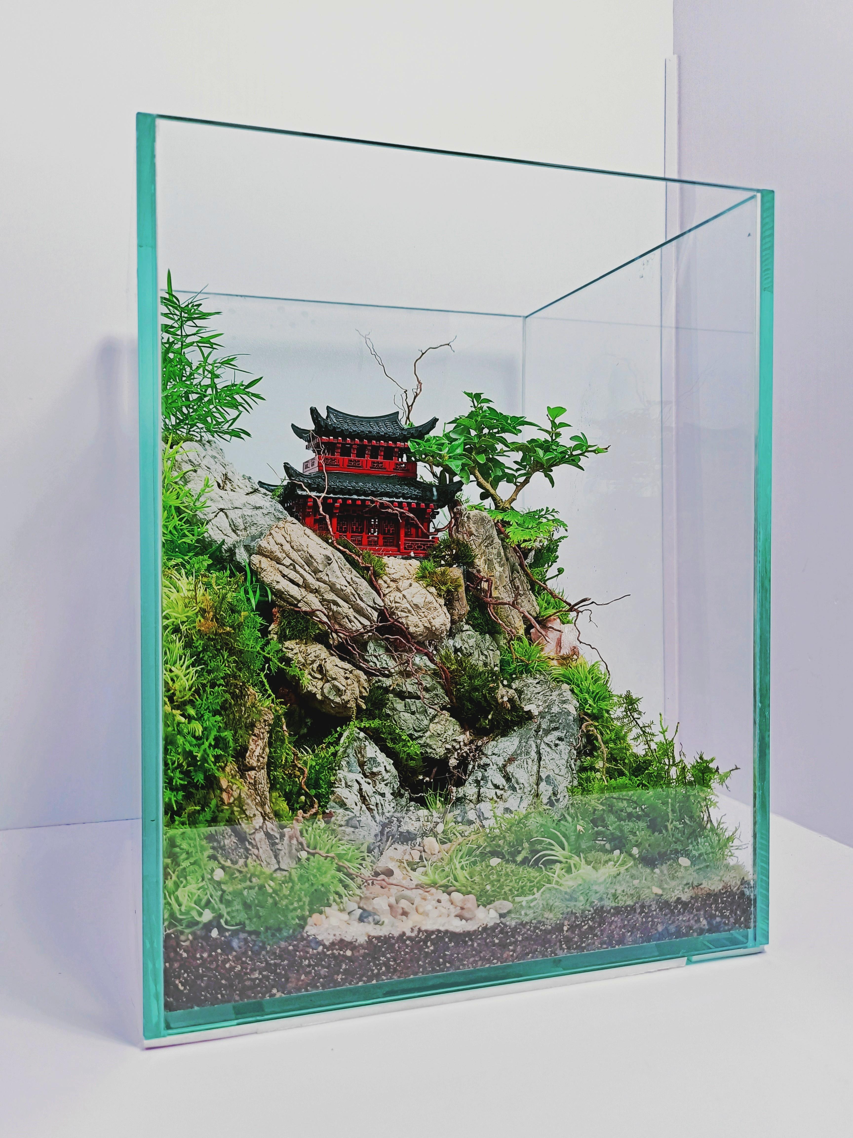 CUBIC TERRARIUM 1