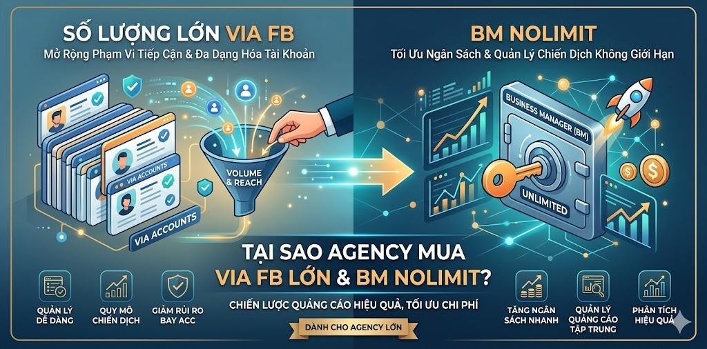Tại Sao Các Agency Lớn Luôn Mua Via Fb Số Lượng Lớn Kèm BM Nolimit