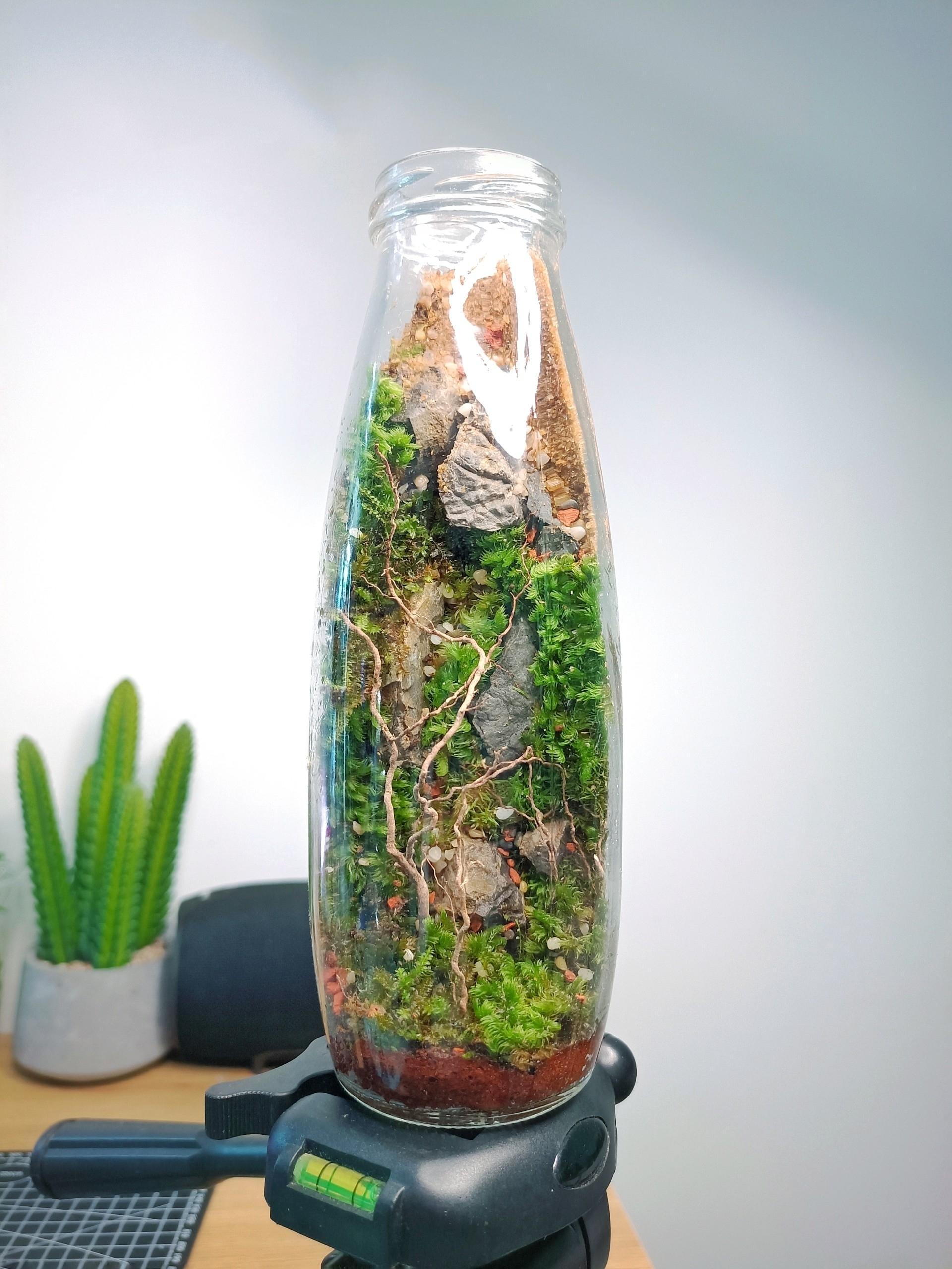 MINI TERRARIUM 2