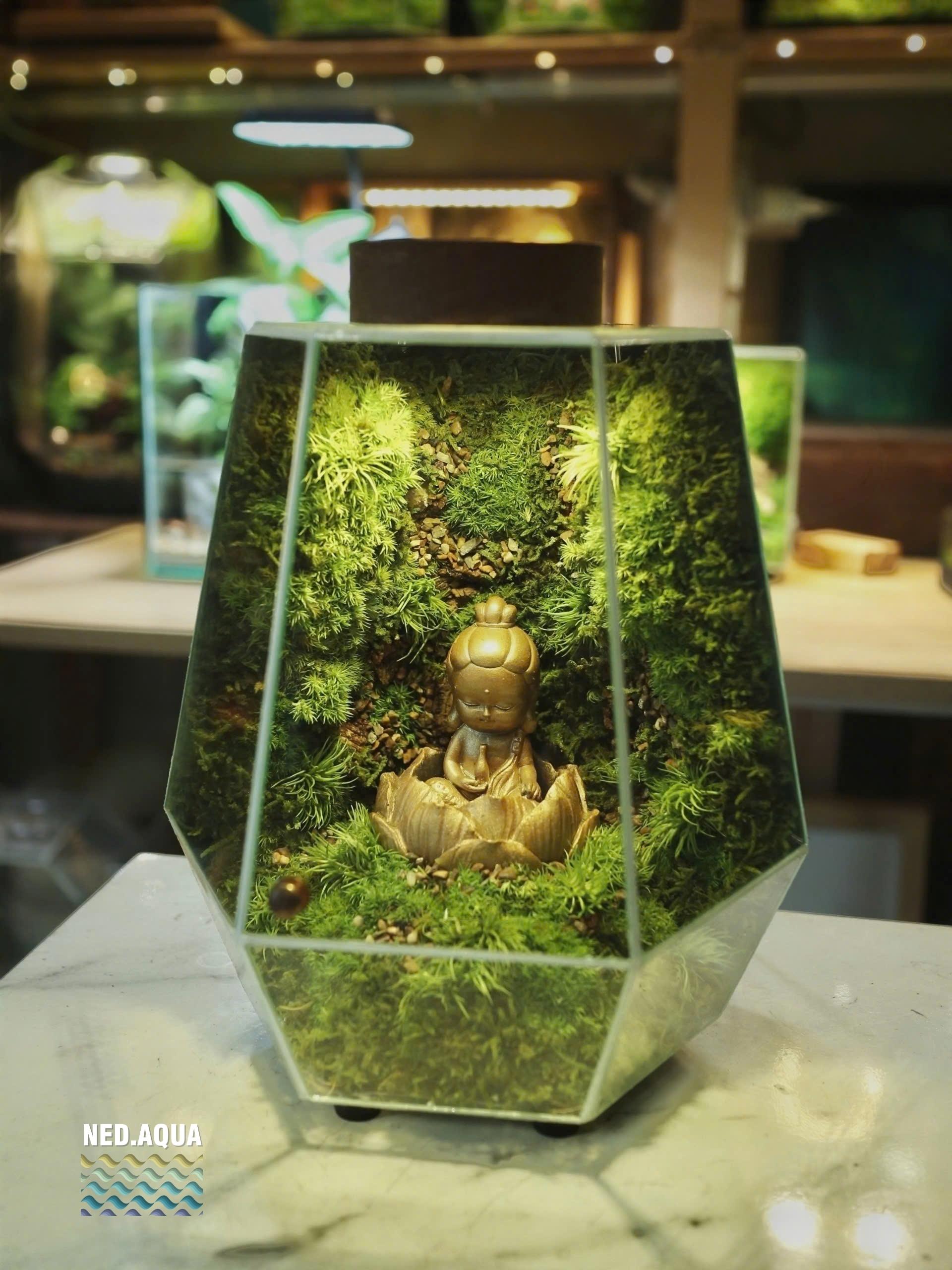 Tỉnh Tại