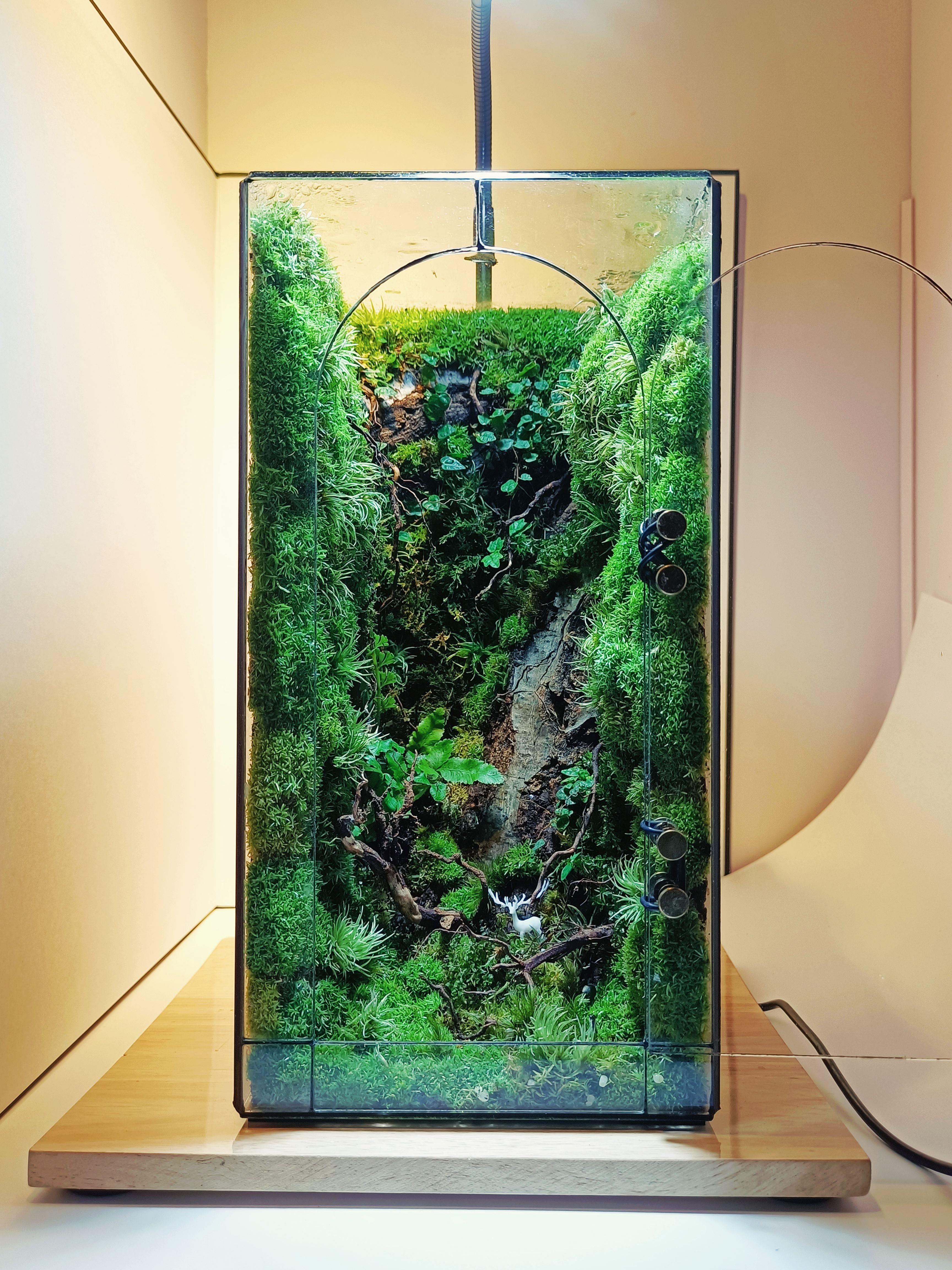 TERRARIUM ĐA GIÁC 3