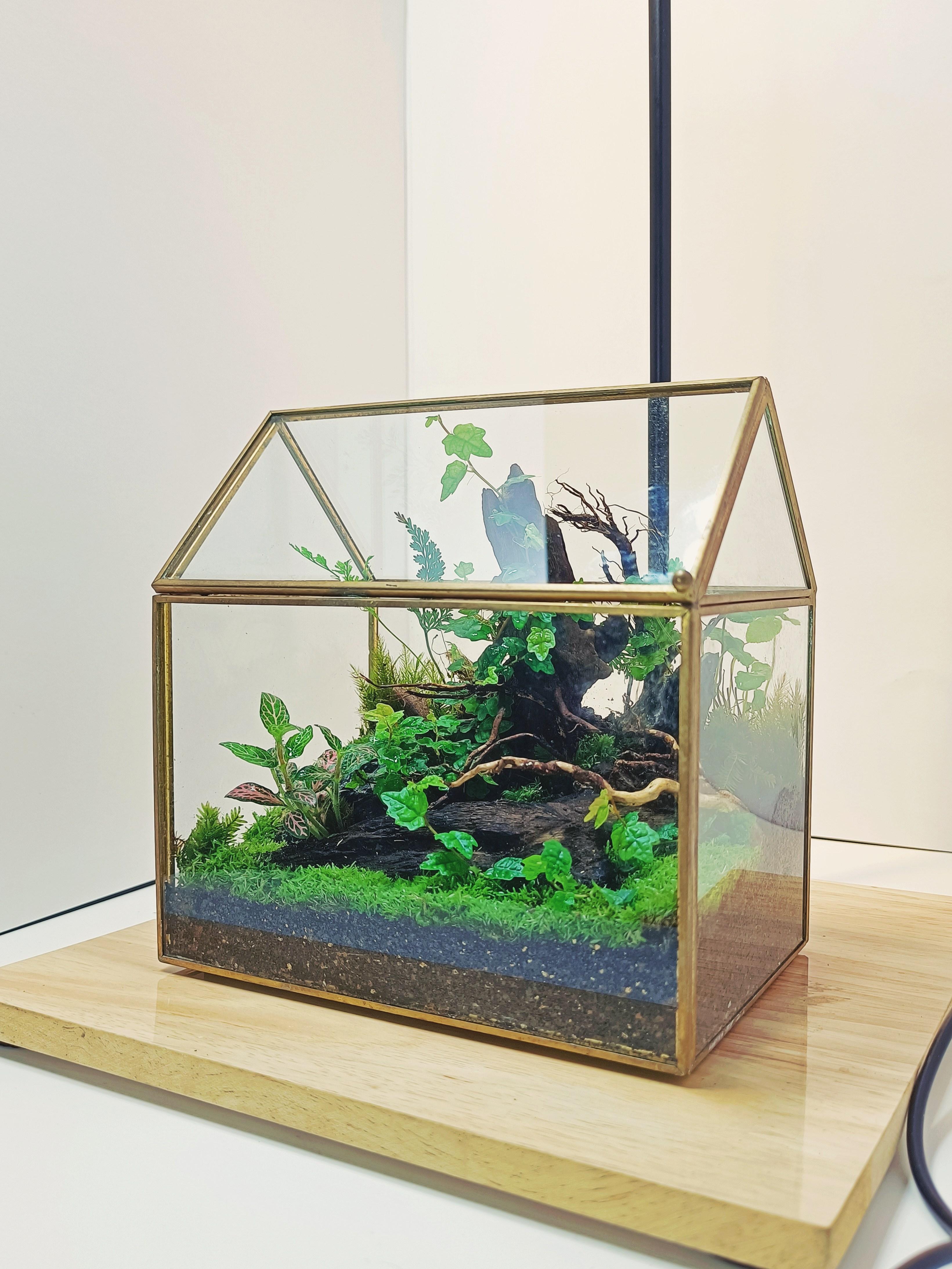 MINI TERRARIUM 3