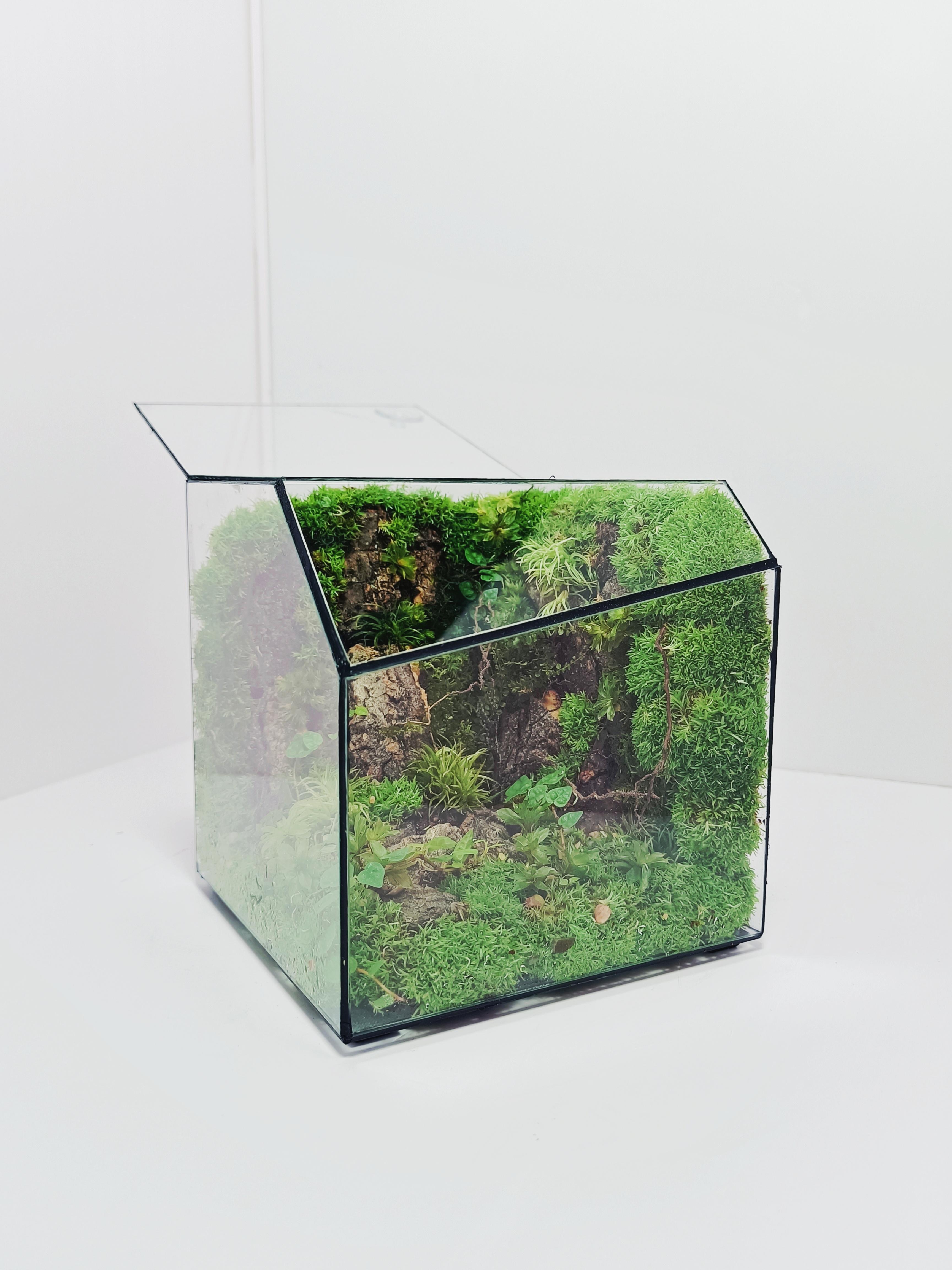 MINI TERRARIUM 1