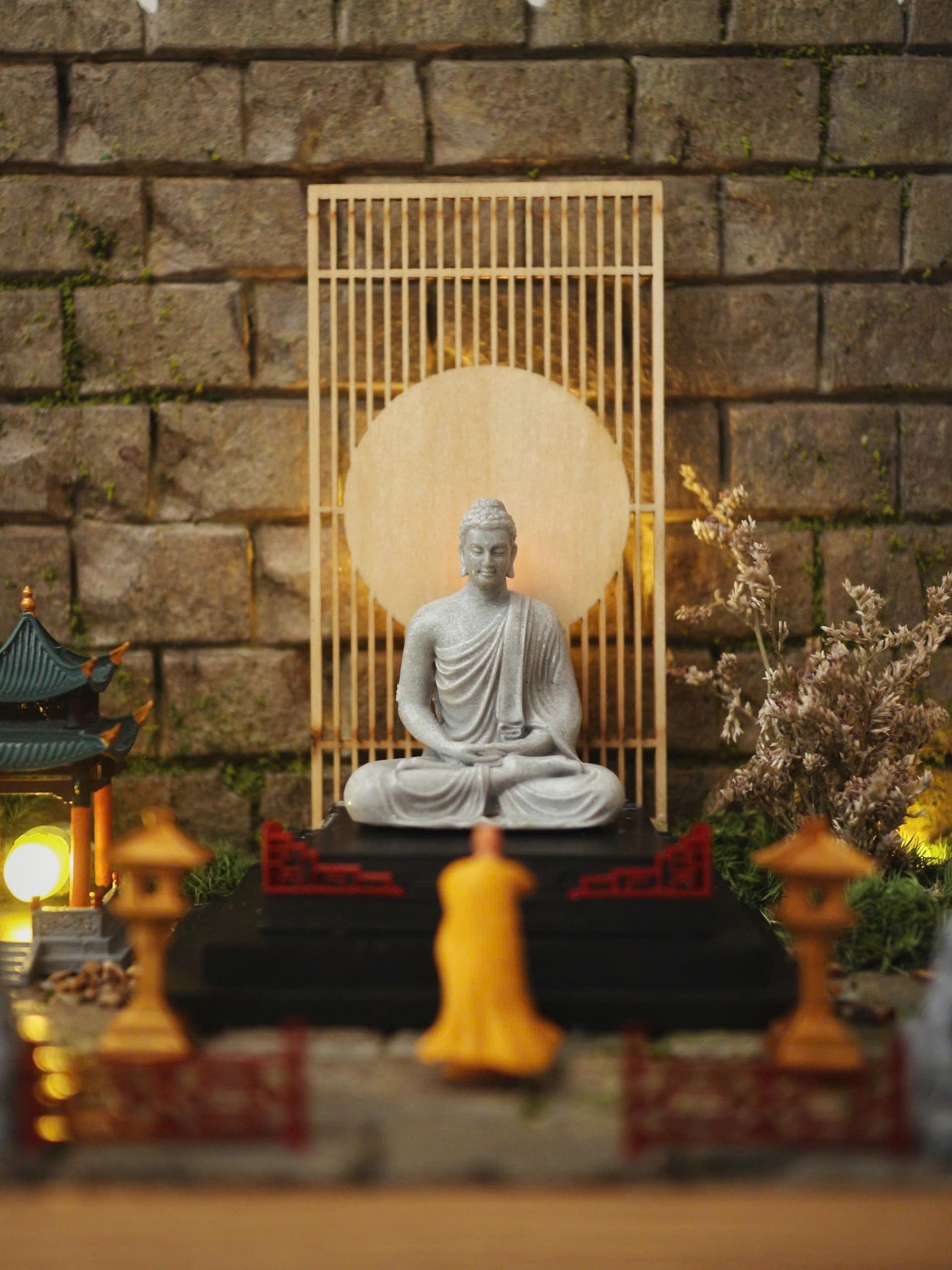NED AQUA - Không gian tiểu cảnh nghệ thuật