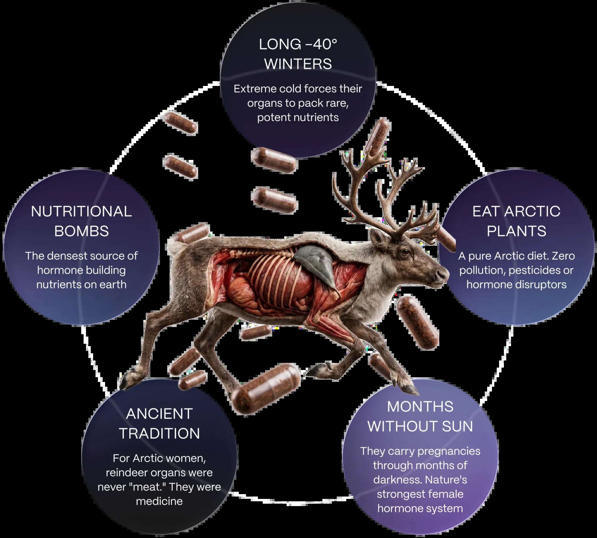 Reindeer nutrient diagram